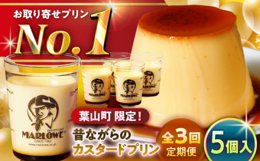 【全3回定期便】昔ながらの カスタードプリン 5個セット 計約900g (約180g × 5個) / プリン ぷりん スイーツ 洋菓子 デザート カスタード  神奈川県 神奈川 葉山 葉山町 国産 人気 人気店 冷蔵 濃