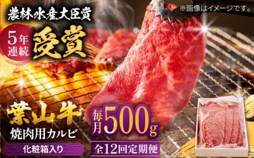 y_ѐYb 5NAܗLzyS12ցz tR ēpJr500g  /     Y Ԑg ₫ɂ Ă Jr  BBQ uh a јa Y  Mt