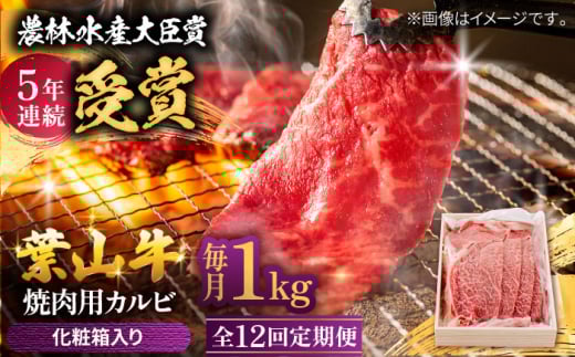 【農林水産大臣賞 5年連続受賞歴有】【全12回定期便】 葉山牛 焼肉用カルビ1Kg  / 牛肉 牛 肉 お肉 国産 赤身肉 やきにく 焼き肉 カルビ かるび BBQ ブランド牛 和牛 黒毛和牛 国産牛 贈答 ギフ