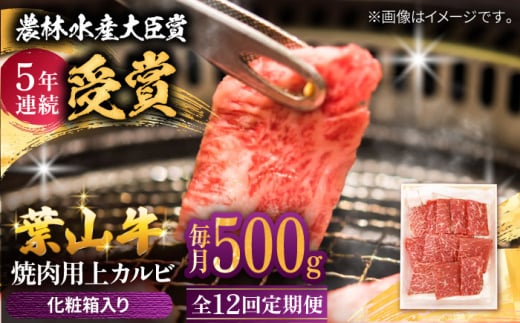 【農林水産大臣賞 5年連続受賞歴有】【全12回定期便】 葉山牛 焼肉用上カルビ500g / 牛肉 牛 肉 お肉 国産 赤身肉 やきにく 焼き肉 カルビ かるび 上カルビ 上かるび BBQ ブランド牛 和牛 黒毛