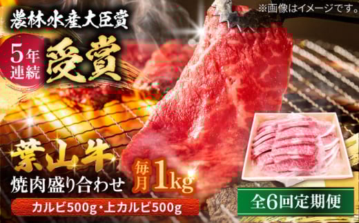 y_ѐYb 5NAܗLzyS6ցz tR ēpJr500gēpJr500g /     Y Ԑg ₫ɂ Ă Jr  Jr ォ BBQ u