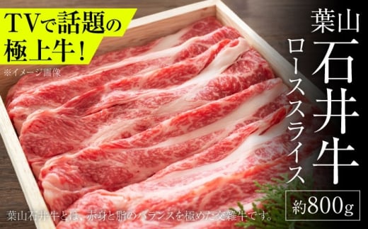 tRΈ䋍[XXCX 800g | _ސEtR     Y Ă ₫ Ԃ tR HACCPF _ސ?yАΈt@[tR}VFz [ASCD004]_ސ쌧tR47000