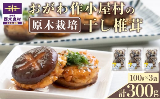 쏬̊ő100g×3܁@ő  VC^P ő ő ؍͔|  o`  p 蕨 B {茧 ėǑ{茧ėǑ10000E