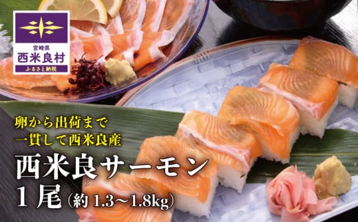 西米良サーモン 1尾 魚 海鮮 サーモン  刺身 完全無投薬 人気 ふるさと 海鮮食品 魚介類 魚介 鮭 カルパッチョ マリネ 完全無投薬 宮崎県 西米良村宮崎県西米良村33000魚介・海産物鮮魚