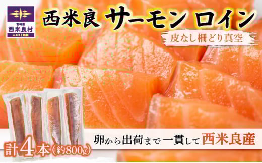ėǃT[ C(Ȃǂ^)  CN T[ hg  S lC ӂ邳 CNHi N    Ε {茧 ėǑ{茧ėǑ37000ECYN