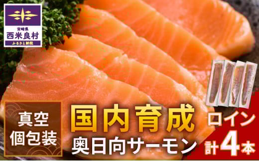 T[@C(Ȃǂ^)  CN T[  S hg  lC ӂ邳 CNHi N    Ε {茧 ėǑ{茧ėǑ17500ECYN