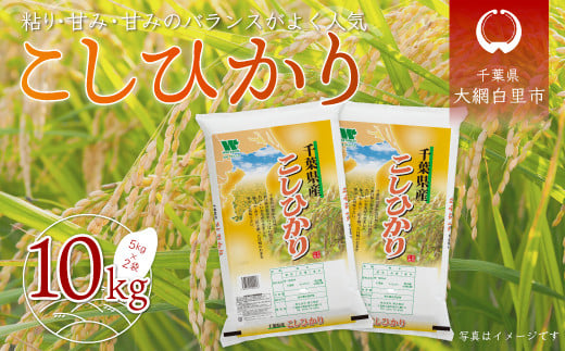 令和7年産 千葉県産「コシヒカリ」10kg(5kg×2袋) お米 10kg 千葉県産 大網白里市 コシヒカリ 米 精米 こめ  A011千葉県大網白里市25000米・パン白米