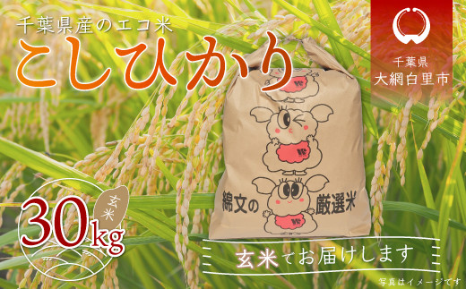 令和6年産 千葉県産エコ米「コシヒカリ」玄米30kg(30kg×1袋) ふるさと納税 玄米 30kg 千葉県産 大網白里市 コシヒカリ エコ米 米 こめ 千葉県大網白里市66000米・パン白米