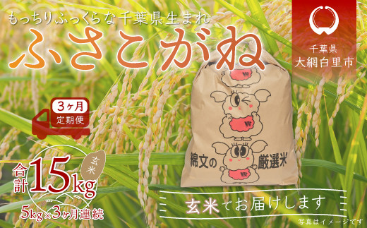 <3ヶ月定期便>千葉県産「ふさこがね」玄米5kg×3ヶ月連続 計15kg ふるさと納税 玄米 定期便 5kg ふさこがね 千葉県 大網白里市 千葉県大網白里市31000米・パン白米