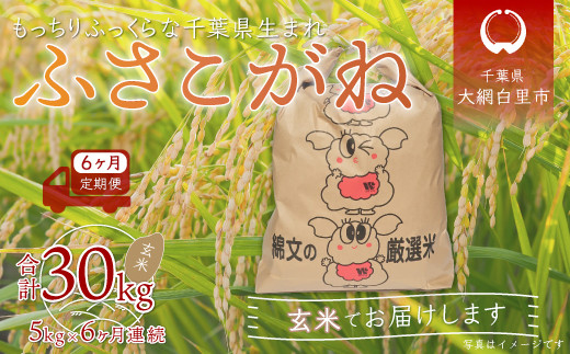 6ցtYuӂˁv5kg×6A v30kg ӂ邳Ɣ[   5kg ӂ t Ԕs tԔs62000āEpāEGāEāE