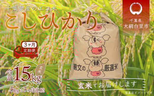 <3ヶ月定期便>千葉県産エコ米「コシヒカリ」玄米5kg×3ヶ月連続 計15kg ふるさと納税 玄米 定期便 5kg コシヒカリ エコ米 米 千葉県 大網白里市 千葉県大網白里市33000米・パン白米
