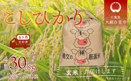 <6ヶ月定期便>千葉県産エコ米「コシヒカリ」玄米5kg×6ヶ月連続 計30kg ふるさと納税 玄米 定期便 5kg コシヒカリ エコ米 米 千葉県 大網白里市 千葉県大網白里市66000米・パン白米