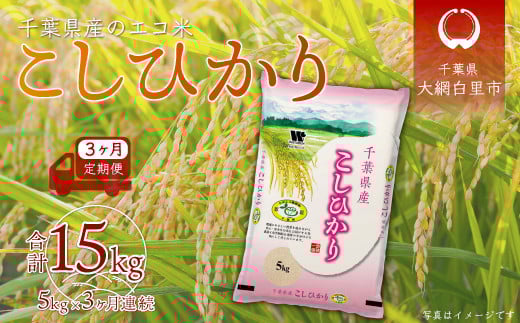 3ցtYGRāuRVqJv5kg×3A v15kg ӂ邳Ɣ[   5kg RVqJ GR t Ԕs tԔs35000āEp