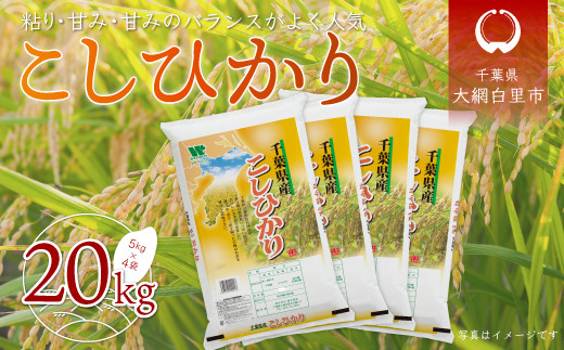 令和6年産 千葉県産「コシヒカリ」20kg(5kg×4袋) ふるさと納税 米 20kg コシヒカリ 千葉県 大網白里市 千葉県大網白里市44000米・パン白米