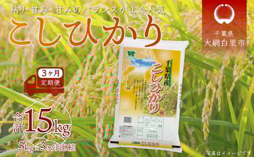 【2025年10月より発送開始】<3ヶ月定期便> 令和7年産 千葉県産「コシヒカリ」5kg×3ヶ月連続 計15kg ふるさと納税 米 定期便 5kg コシヒカリ 千葉県 大網白里市 千葉県大網白里市39000米・パン