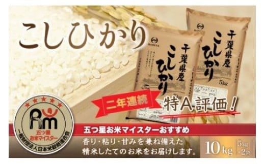 令和7年産 2年連続特A評価!千葉県産コシヒカリ10kg(5kg×2袋) 【 お米 10kg 千葉県産 大網白里市 コシヒカリ 米 精米 こめ  】 E024千葉県大網白里市25000米・パン白米