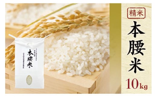 令和7年産 本腰米10kg 精米 千葉県産コシヒカリ 農薬不使用 【 ふるさと納税 お米 10kg 千葉県産 大網白里市 コシヒカリ 農薬不使用 米 精米 こめ  】F003千葉県大網白里市30000米・パン白米