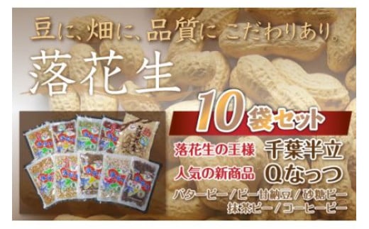千葉県 大網白里市産 落花生10袋セット 落花生 おつまみ 千葉県産 大網白里市 千葉県大網白里市14000野菜・きのこ豆類