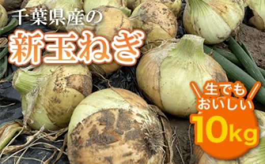 【先行受付】千葉県産 新玉ねぎ10kg 生でもおいしい!【令和8年5月上旬から順次発送】 玉ネギ たまねぎ タマネギ 玉葱 新玉ねぎ 野菜 千葉県 大網白里市 千葉県大網白里市8000野菜・きのこ玉