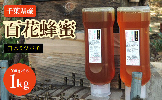 千葉県産 日本みつばち百花蜂蜜 1kg(500g×2本) ふるさと納税  蜂蜜 日本みつばち 百花蜂蜜 はちみつ ハチミツ ミツバチ 千葉県 大網白里市 AP001千葉県大網白里市34000鍋セット・総菜・加