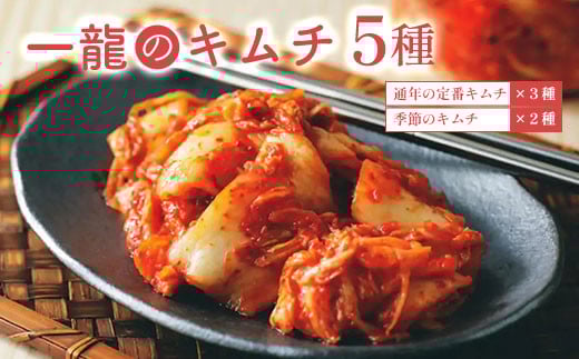 一龍のキムチ5種(通年の定番キムチ3種と季節のキムチ2種) ふるさと納税 きむち キムチ おいしい 美味しい 手作り 発酵 季節 野菜 5種 千葉県 大網白里市 AR001千葉県大網白里市12000鍋セ