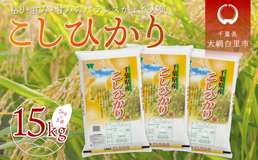 令和6年産 千葉県産「コシヒカリ」15kg(5kg×3袋) お米 15kg 千葉県産 大網白里市 コシヒカリ 米 精米 こめ 千葉県大網白里市33000米・パン白米