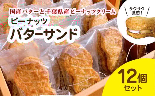 産地直送のピーナッツバターサンド×12個セット 千葉県 大網白里市 BD001千葉県大網白里市10000菓子・スイーツその他 洋菓子
