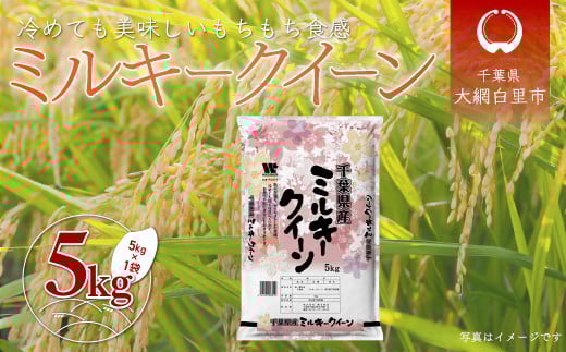 ߘa7NY tYu~L[NC[v5kg /  5L tY Ԕs ~L[NC[    A050tԔs13000āEp