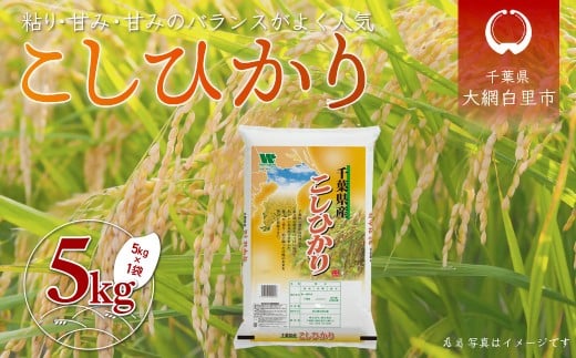 ߘa6NY tYuRVqJv5kgi5kg×1܁j  5kg tY Ԕs RVqJ     A054tԔs12000āEp