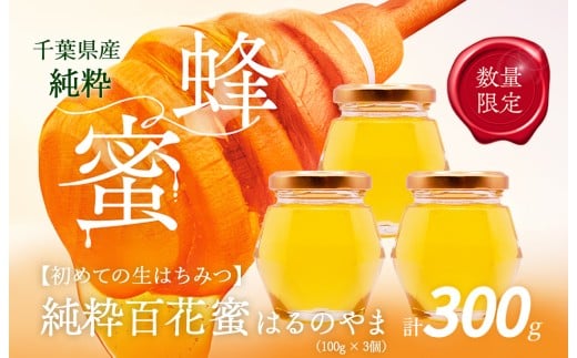 千葉県産「純粋はちみつ」はるのやま(百花蜜)3個 【 ふるさと納税 ハチミツ 蜂蜜 はちみつ お菓子作り おかしづくり セット 非加熱 生 千葉 大網白里市  】 X008千葉県大網白里市11000鍋セット