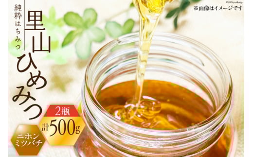 ݂͂ Y ݂͂ RЂ߂݂ 250g×2 [R{I { ΐ쌧 Ô tb17nir80003] I n`~c nj[  ΐ쌧Ô20000ZbgE؁EHHiWE݂͂