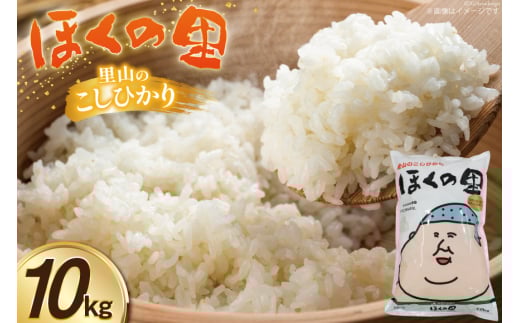  ߘa7NxY R̂Ђ ق̗ 10kg 1 [JAΐ삩ق ΐ쌧 Ô tb17nir90048]    ͂ R   ƒp RVqJ  Đΐ쌧Ô33000āEp