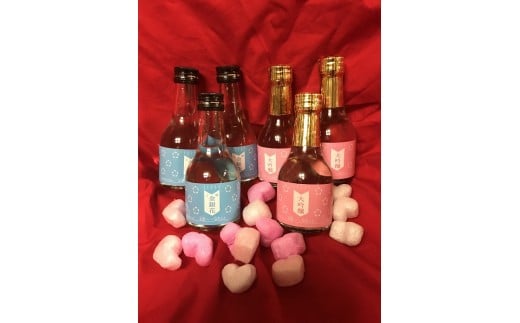 [15-02] ǉ@KςZbgm{s15000EAR[{