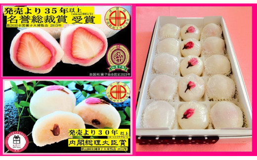 [15-31] ōʏ܎܁w啟xtb܎܁wԔт܂񂶂イxm{s15000َqEXC[c\Er㻁E啟