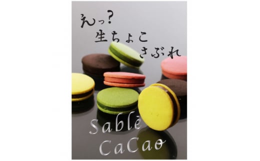 デ・レーヴのサブレ・カカオ 8個入【1283388】愛知県安城市12000菓子・スイーツその他 洋菓子