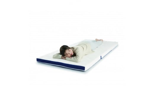 テンピュール(R) フトン ワン プラス ダブルサイズ(73010533)【1352619】愛知県安城市340000雑貨・日用品寝具・タオル