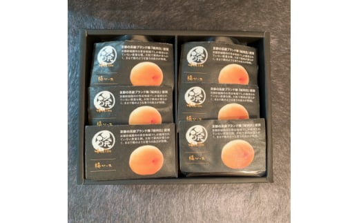ミネラル醗酵梅ソース6個(化粧箱入り)【1339792】愛知県安城市13000調味料・油