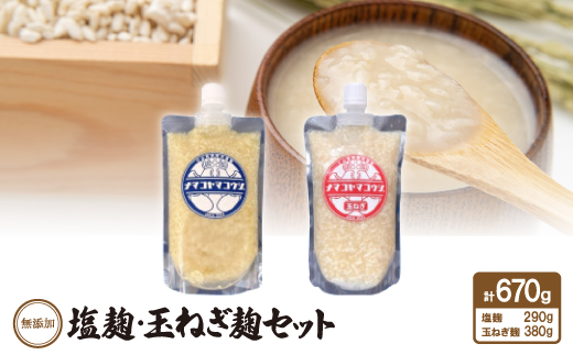 無添加 塩麹・玉ねぎ麹セット【1468070】愛知県安城市13000調味料・油