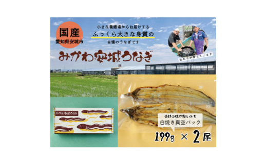 みかわ安城うなぎ 大きな白焼き 2尾【1631472】愛知県安城市25000魚介・海産物うなぎ