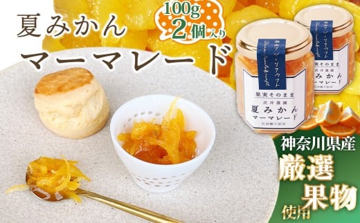 No.084 夏みかんマーマレード100g×2個 / 柑橘 ビタミンC 爽やか ママレード 人気 加工食品 手作り 白砂糖不使用 ペクチン不使用 フルーツスプレッド コンフィチュール トッピング 神奈川県産