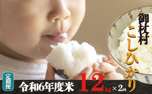 H01-2 【定期便】先行予約 令和6年 3姉妹も大好き コシヒカリ 12kg × 2回 合計 24kg (2回お届け)奈良県御杖村22000米・パン白米