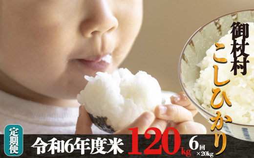 H03-6yցzs\ ߘa6N 3oD RVqJ 20kg × 6 v 120kg (6񂨓͂)ޗǌ168000āEp