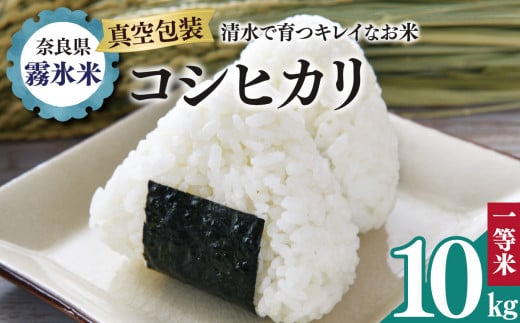 X RVqJ 10kg (^ł͂) |   R    Ђ ޗǌ 񑺓ޗǌ27000āEp