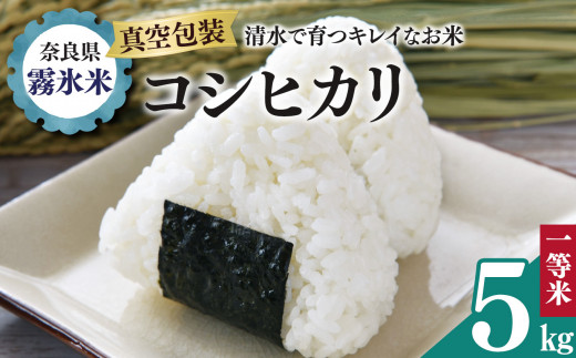 X RVqJ 5kg (^ł͂) |   R    Ђ ޗǌ 񑺓ޗǌ14000āEp
