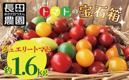 【2026年度予約分】まるでトマトの宝石箱!フルーツジュエリートマト約1.6s 長田農園  産地直送 トマト とまと 野菜 やさい フルーツ サラダ 濃厚 甘い ご褒美 プレゼント 美容 健康 リピー