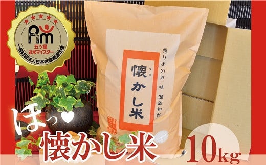 【お米マイスター】ほっ?懐かし米 10kg 令和6年度産 こだわり ブレンド こめ コメ 米 H056-132愛知県碧南市36000米・パン白米