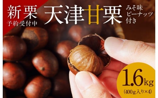 【新栗】(予約受付)この道50年の職人が焼く、やさしい甘みたっっっぷり!「天津甘栗」 1.6kg みそ味ピーナッツ付き 新栗 焼きたて 栗 くり 栗爪 殻付き お菓子 おつまみ 人気 高リピート