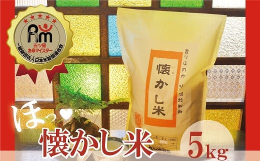 【お米マイスター】ほっ?懐かし米 5kg H056-131愛知県碧南市22000米・パン白米