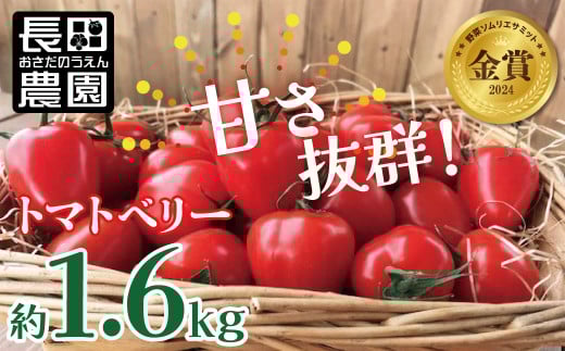 【2026年度予約分】甘さ抜群!トマト嫌いでも食べられるトマトベリー 約1.6kg 野菜ソムリエサミット 金賞 受賞 長田農園  産地直送 トマト とまと 野菜 やさい フルーツ サラダ 濃厚 甘い ご褒