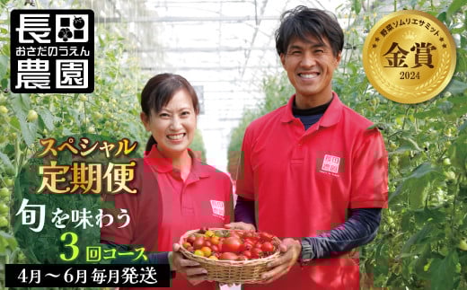【4月〜6月の定期便】トマト好き全員集合 トマト・トマト・トマト3か月お届けパック 野菜ソムリエサミット 金賞 受賞 長田農園 産地直送 トマト とまと 野菜 やさい フルーツ サラダ 濃厚